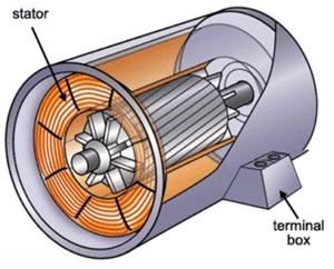 motor-induction-300x242.jpg